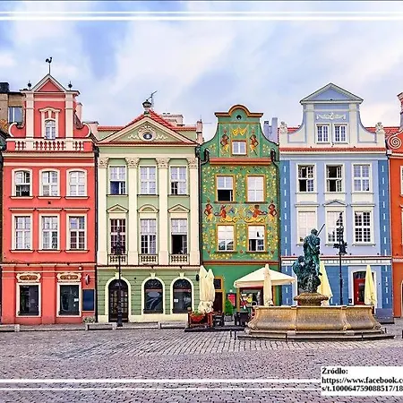 Flowers Point * Poznan